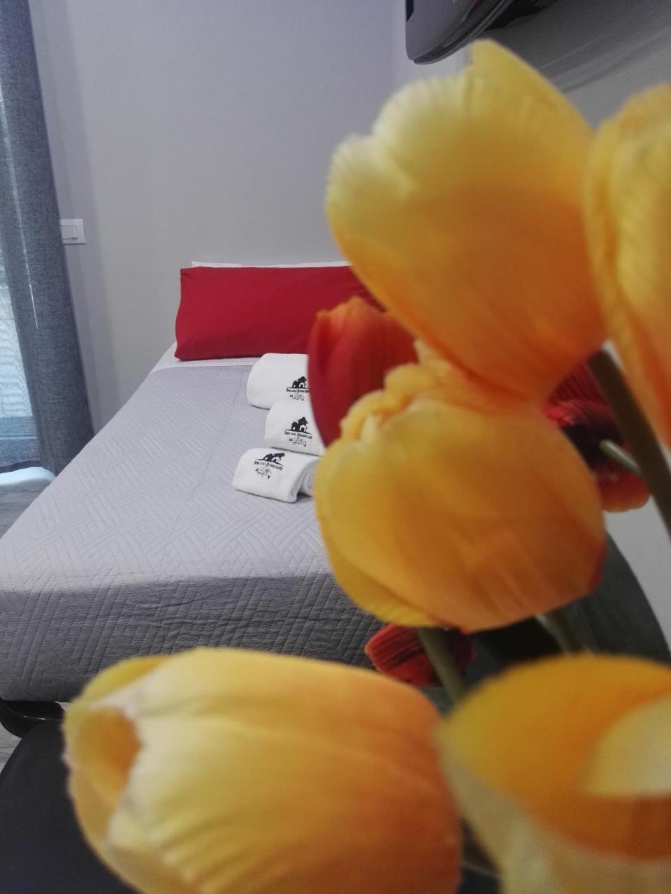 B&B Da Lillo Фрозиноне Екстериор снимка